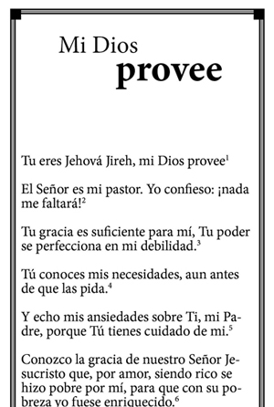 This is and image of the Mi Dios Provee product.